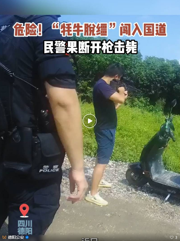 1753084461927.png
