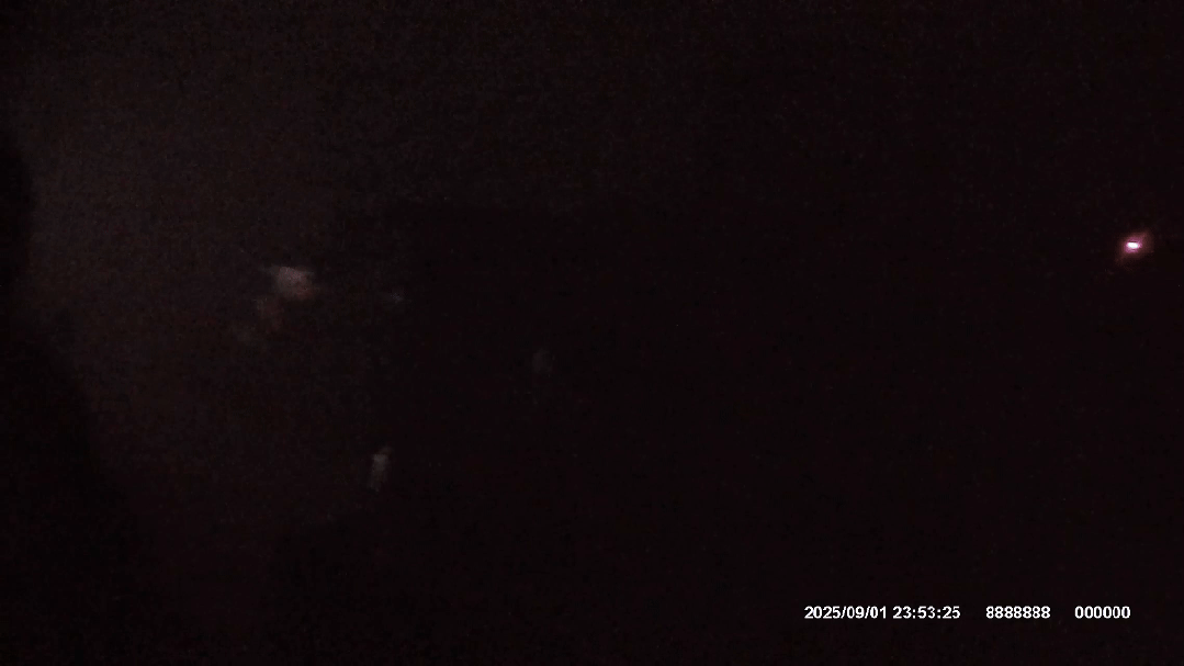 33a15936e8602fe9a2166955816e0f64_640_wx_fmt=gif&from=appmsg&tp=webp&wxfrom=5&wx_lazy=1#imgIndex=4.gif